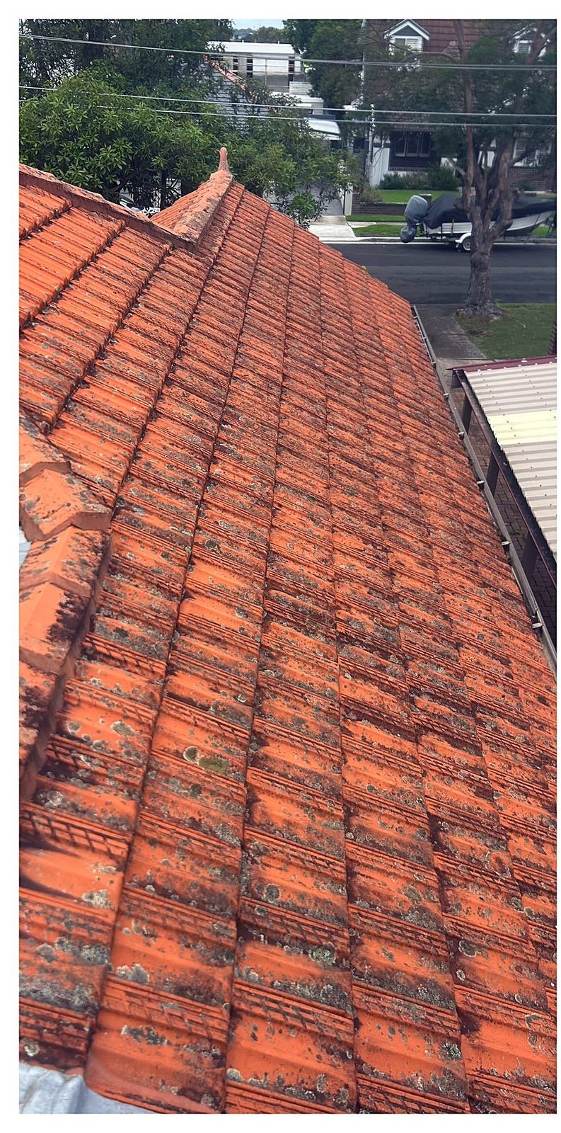 Terracotta roof before cleaning