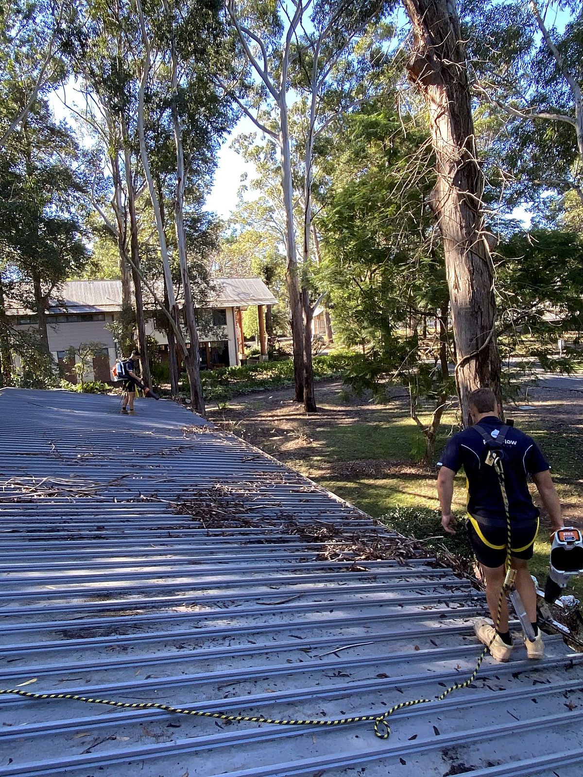 Gutter Clearing