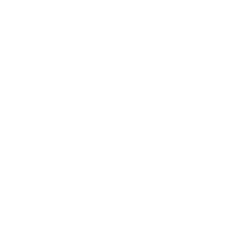 PureFlow Services logo