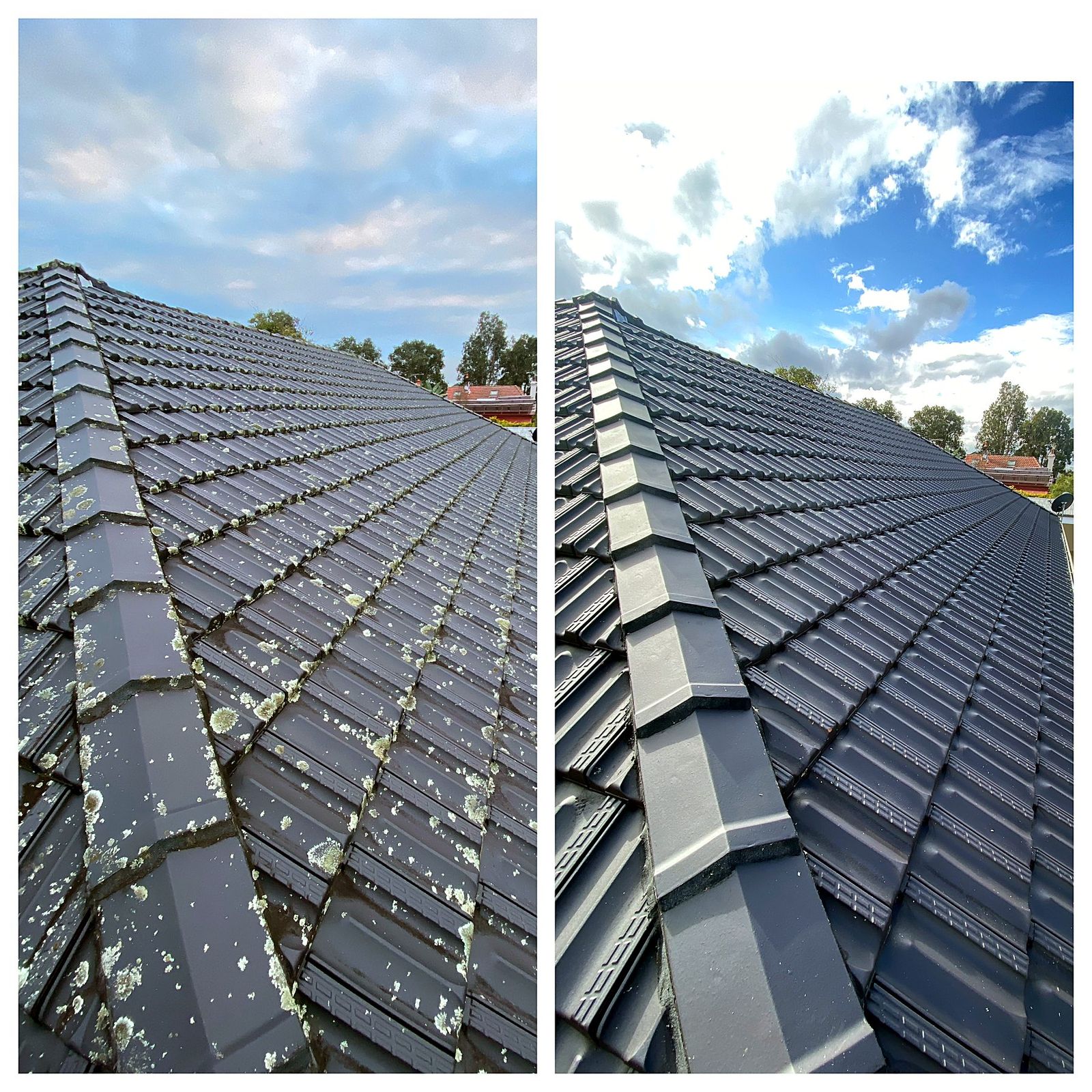 Ridge Line — Before & After