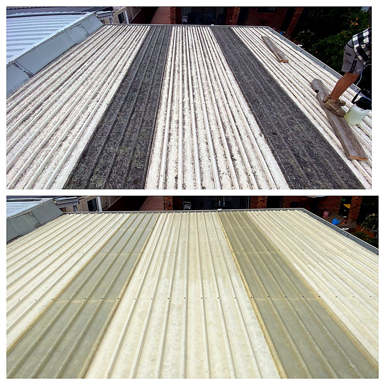 Metal Roof Treatment